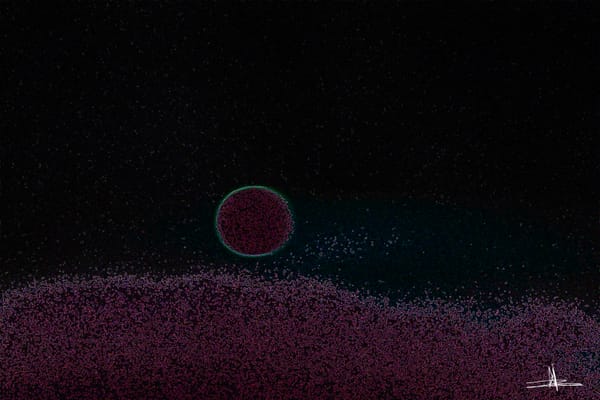Mitosis 7